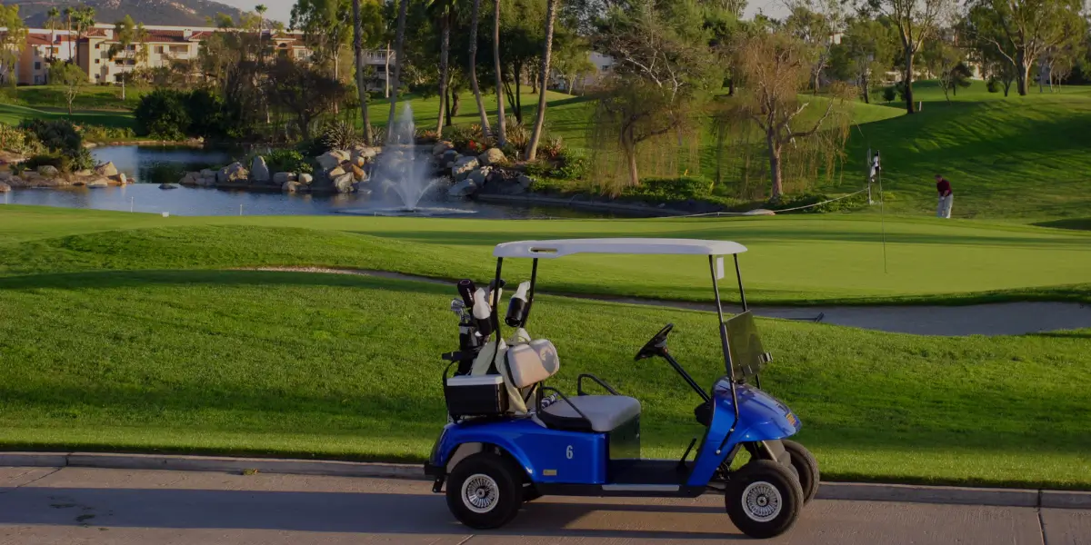 How did this Confusion Over Golf Cart Batteries Charging Start?